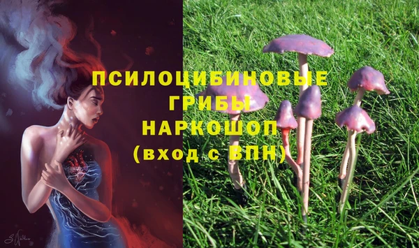 твердый Алексин